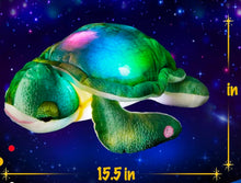 Load image into Gallery viewer, Light-Up Musical Turtle Plush