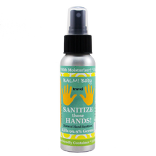 Load image into Gallery viewer, SANITIZE those HANDS! (2.7oz/80ml)